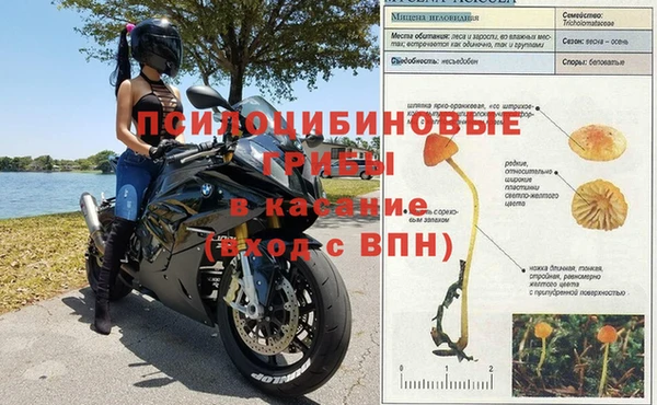 MESCALINE Бородино