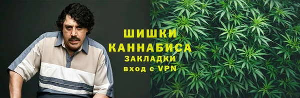 тгк Верея