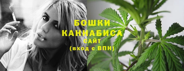 MESCALINE Бородино